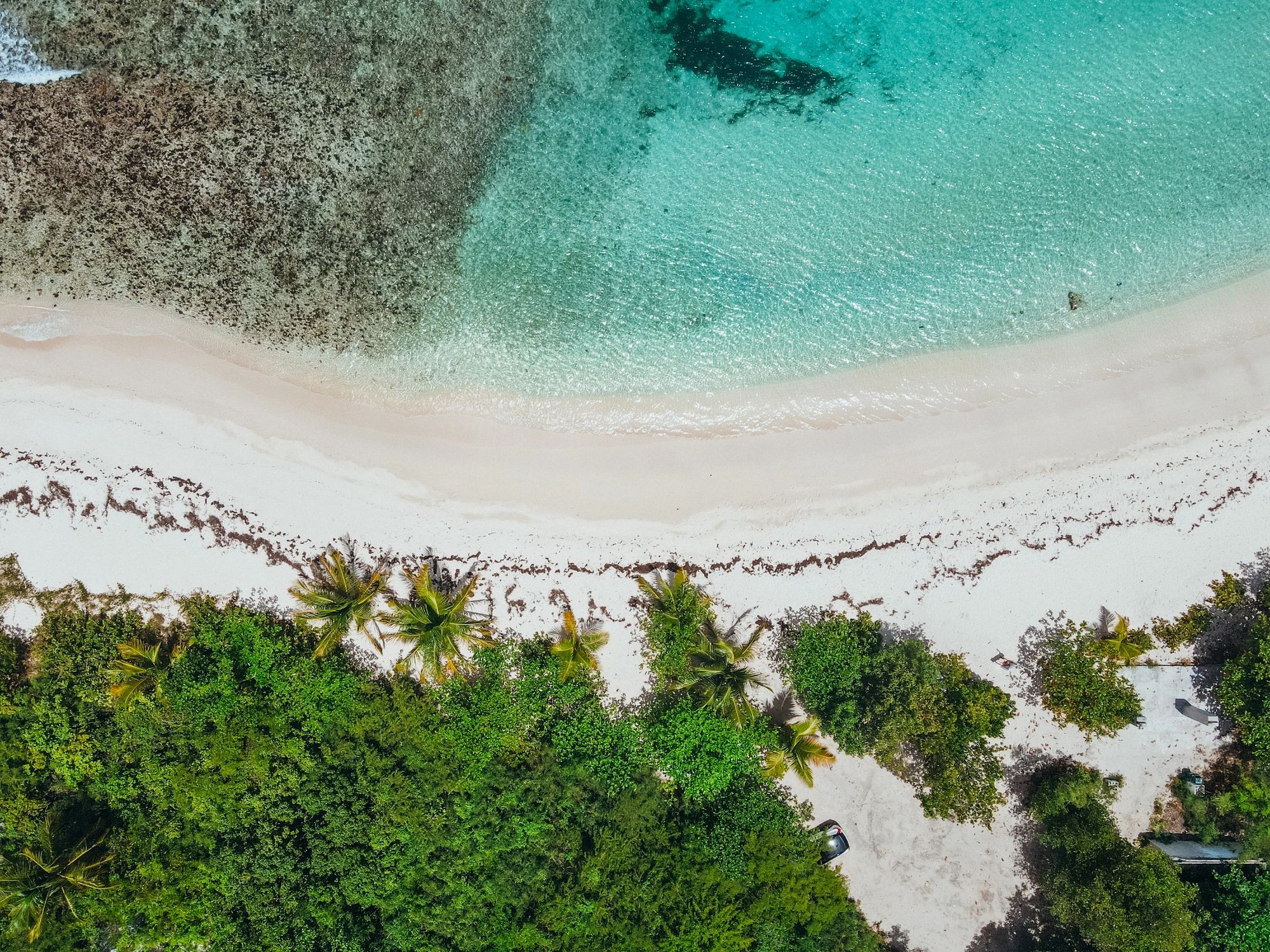 Aerial view of a tropical Caribbean-style beach with turquoise water